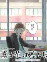总裁的隐婚妻子短剧海报
